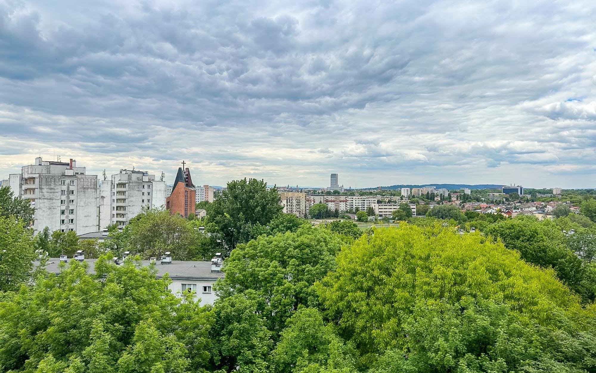 Vista Ugorek *